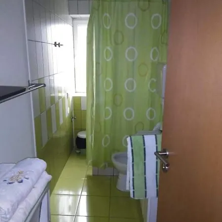 Apartment Borici Soko Banja