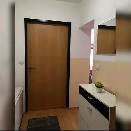 Apartment Borici Soko Banja