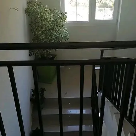 Borici Soko Banja
