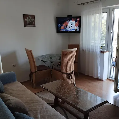 Borici