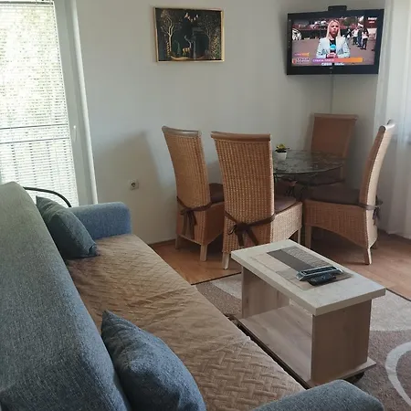 Borici Apartment *