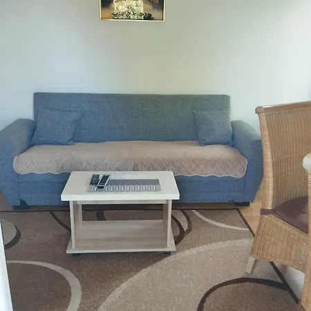 Apartment Borici *